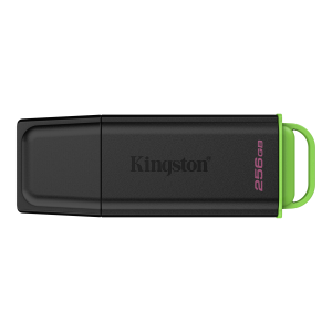 Kingston 256GB Portable USB 3.2 Gen 1 DataTraveler Exodia Black/Green