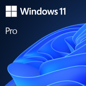 Microsoft Microsoft Windows11 Pro64Bit DSP